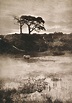 Henry Peach Robinson - Morning Mist, 1902 Sepia Photography, History Of ...