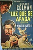 "LUZ QUE SE APAGA" MOVIE POSTER - "THE LIGHT THAT FALLED" MOVIE POSTER