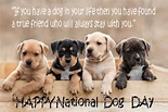 National Dog Day - 26 August Happy National Dog Day 2021 ...