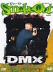 Amazon.com: DMX - The Smoke Out Festival Presents [DVD] [2006] : Movies ...