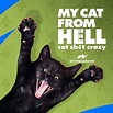My Cat from Hell - TV on Google Play