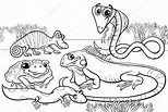 página para colorear de reptiles y anfibios 2024