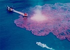 Deepwater Horizon, desastre ecológico | Eco Gaia