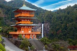 50 Things to Do in Wakayama | tsunagu Japan