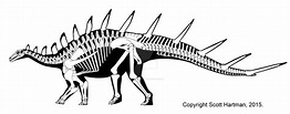 Kentrosaurus by ScottHartman on DeviantArt