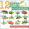Why YOU should care about GMO's in our food supply…... - Real Food ...