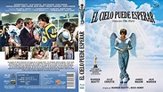 El Cielo Puede Esperar - Película Online