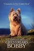 Image gallery for The Adventures of Greyfriars Bobby - FilmAffinity