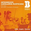 Cavalleria rusticana: Intermezzo (Arr. Holt) by Nicola Benedetti ...