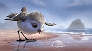 Piper: 12 Things to Know About New Pixar Short Film | Collider