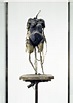 Beuys - Sculptures - Exhibition at Galerie Bastian in Berlin