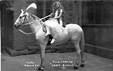 indexp | Lady godiva, Coventry, Horses