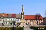 Mieszkowice powiat gryfiński - pomnik Mieszka I