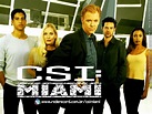 CSI: Miami - Por que a série da CBS terminou após 10 temporadas