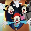 'Animaniacs' return on Hulu and drop a new trailer » LIVING LIFE FEARLESS
