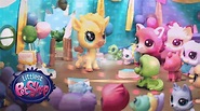 Littlest Pet Shop - 'A Smashing Birthday Party' Official Stop Motion ...