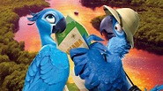 Rio 2 Blue, HD Movies, 4k Wallpapers, Images, Backgrounds, Photos and ...