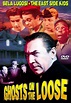 Ghosts on the Loose (1943) dvd movie cover