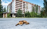 Chernobyl Today Pictures - Nearly Three Decades Later The Chernobyl ...