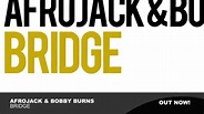 Afrojack - Bridge watch for free or download video