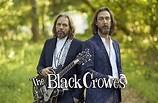 The Black Crowes lanza una nueva canción inédita "Miserable"