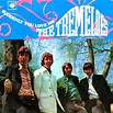 Albums I Wish Existed: The Tremeloes