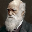 Charles Darwin y la evolución - Historia Hoy