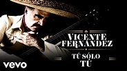 Vicente Fernández - Tú Solo Tú (Letra/Lyrics) - YouTube