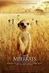 Cartel de la película The Meerkats - Foto 1 por un total de 28 ...