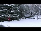 My Dear Acquaintance[A Happy New Year] - Regina Spektor Dance - YouTube
