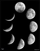 Understanding moon phases | Moon Phases | EarthSky