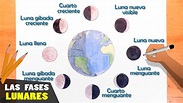 Cómo dibujar las fases lunares paso a paso - YouTube