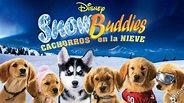 Ver Snow Buddies: Cachorros en la nieve | Película completa | Disney+