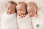 triplets, Greensboro NC photographer, 3 baby boys, triplet newborn ...