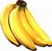 Download Banana Png Image HQ PNG Image | FreePNGImg