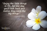 enjoy the little things in life. | Inspirational quotes, Life, Enjoyment
