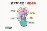 耳穴竟如此神奇！這樣按耳朵提升免疫力、減肥＠Rex Wu 的部落格｜PChome Online 個人新聞台