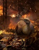 How Did Dino-Era Birds Survive the Asteroid 'Apocalypse'? | Why do ...