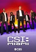 CSI: Miami - Ver la serie online completas en español