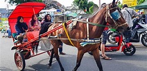 surakarta, Indonésie, janvier 8, 2023 dokar wisata ou char balade dans ...