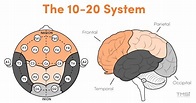 The 10-20 System for EEG - TMSi