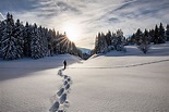 die Spuren im Schnee... Foto & Bild | canon, world, winter Bilder auf ...