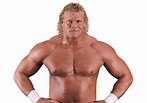 Sid Vicious / Sycho Sid: Profile, Career Stats, Face/Heel Turns, Titles ...