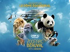 ZooParc de Beauval – nos conseils de visite 1 ou 2 jours – en famille ...