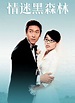 《情迷黑森林》2005年香港喜剧,剧情,爱情电视剧在线观看_蛋蛋赞影院