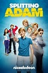 Splitting Adam (2015) — The Movie Database (TMDB)