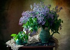 Wallpaper : still life, vases, flowers, plants 1920x1380 ...