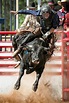 Bull Rider | Smithsonian Photo Contest | Smithsonian Magazine
