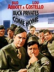 Buck Privates Come Home (1947) - Rotten Tomatoes