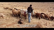 The Shepherd film - YouTube